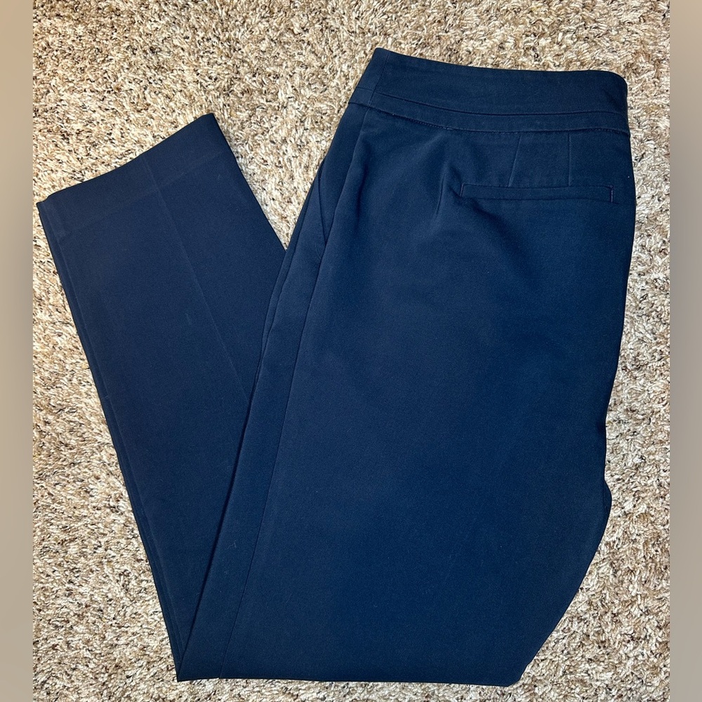 Ann Taylor Factory Navy Stretch Slim Ankle Pants Zip‎ Hook Size 10